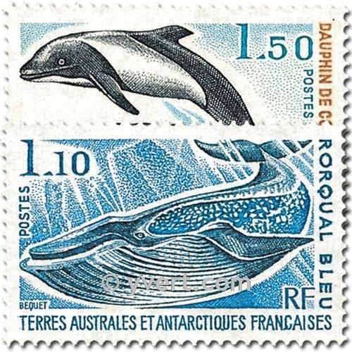 n.o 64 / 65 -  Sello Tierras Australes y Antárticas Francesas Correos