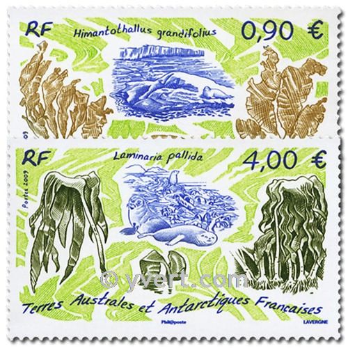 nr. 528/529 -  Stamp French Southern Territories Mail