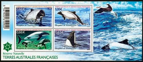 n° F710 - Stamps French Southern Territories Mail