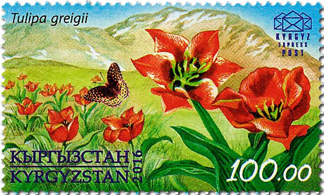 n° 26 - Timbre KIRGHIZISTAN (Kyrgyz Express Post) Poste