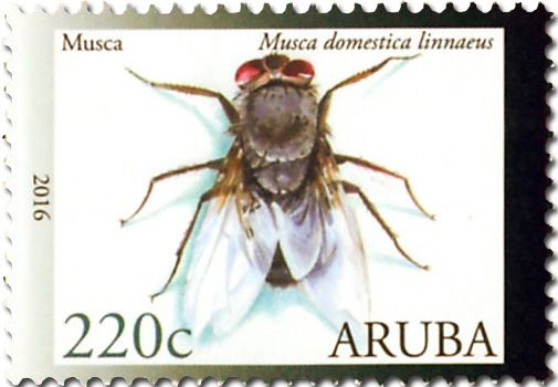 n° 931 - Timbre ARUBA Poste