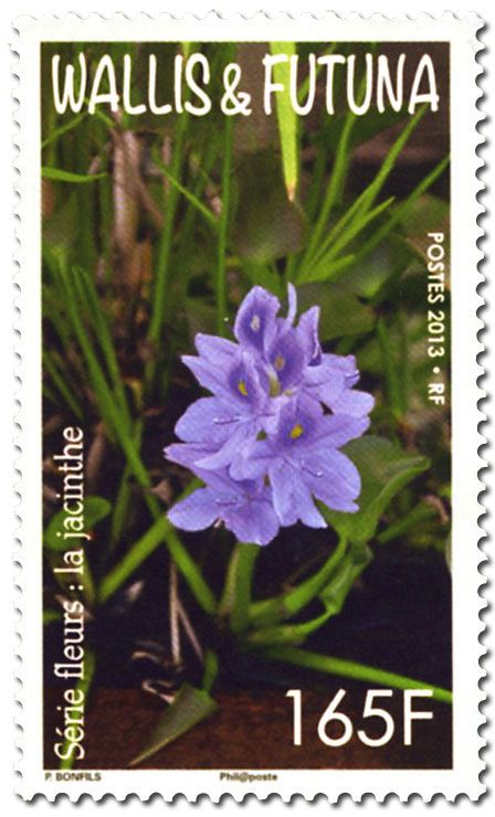 n° 803/804 - Timbre Wallis et Futuna Poste