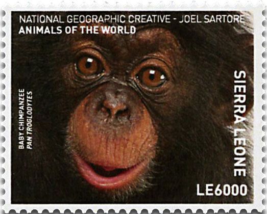 n° 6605 - Timbre SIERRA LEONE Poste