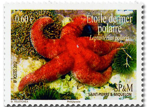 nr. 1034/1037 -  Stamp Saint-Pierre et Miquelon Mail