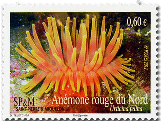 nr. 1034/1037 -  Stamp Saint-Pierre et Miquelon Mail