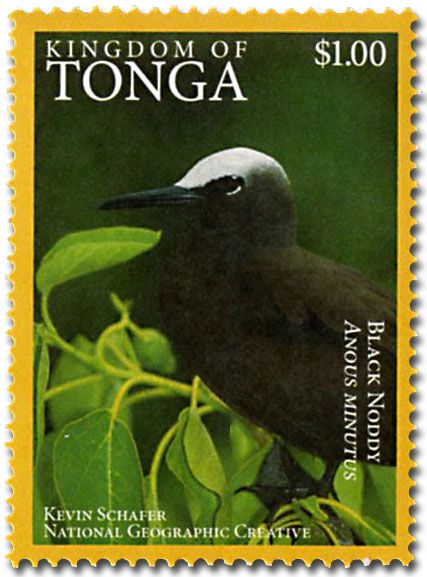 n° 1468A - Timbre TONGA Poste