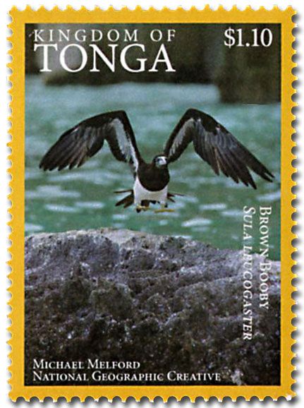 n° 1468A - Timbre TONGA Poste