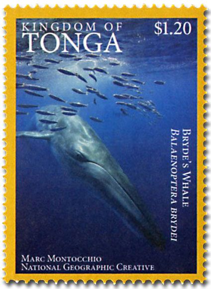 n° 1468A - Timbre TONGA Poste