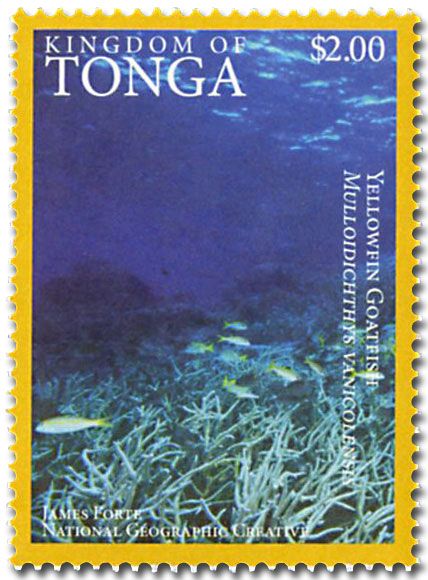 n° 1468A - Timbre TONGA Poste