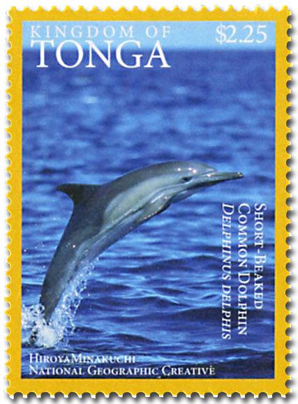 n° 1468A - Timbre TONGA Poste