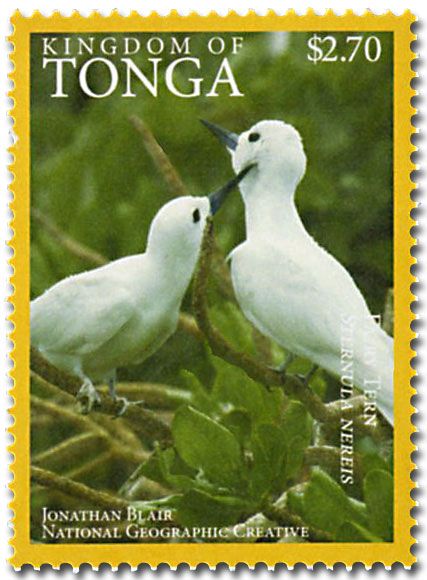 n° 1468A - Timbre TONGA Poste