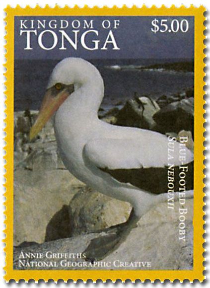 n° 1468A - Timbre TONGA Poste