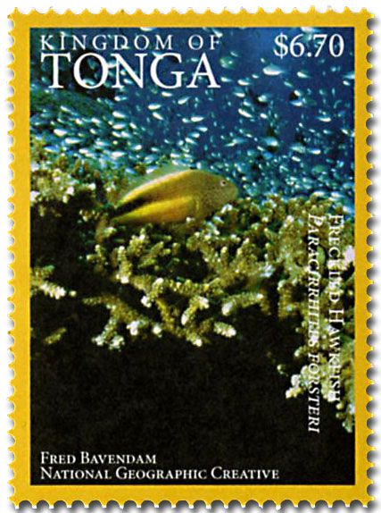 n° 1468A - Timbre TONGA Poste