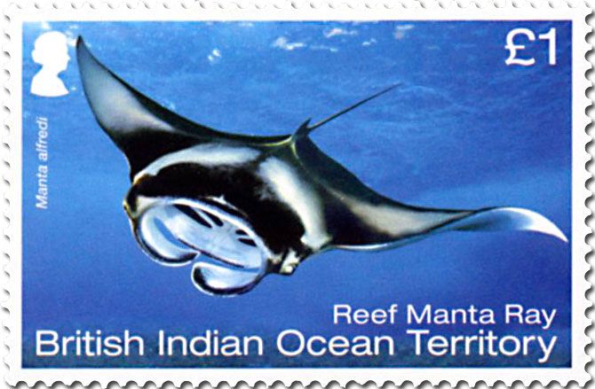 n° 514/519 - Timbre OCEAN INDIEN Poste