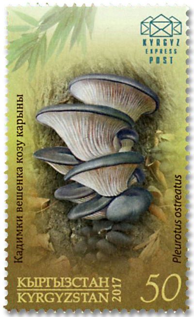 n° 46/49 - Timbre KIRGHIZISTAN (Kyrgyz Express Post) Poste