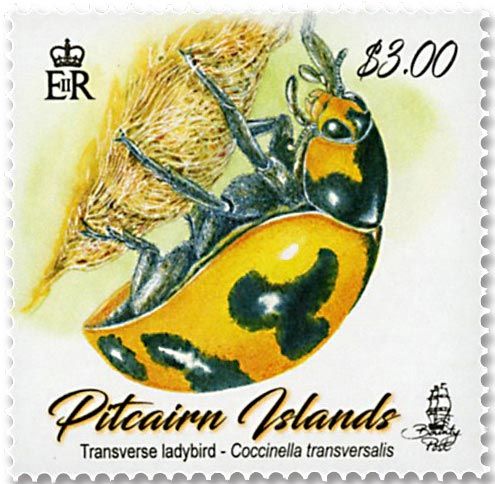 n°913/914 - Timbre PITCAIRN Poste