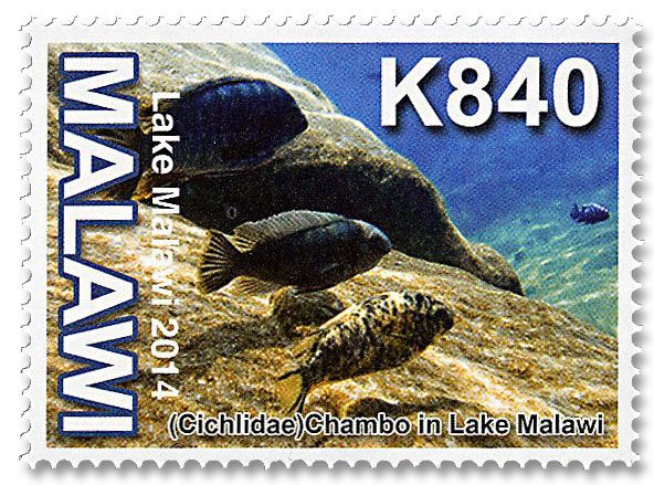 n° 822/831 - Timbre MALAWI Poste