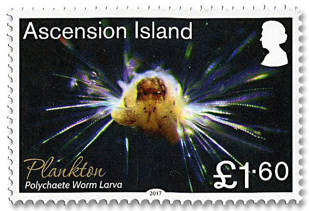 n° 1185/1190 - Timbre ASCENSION Poste