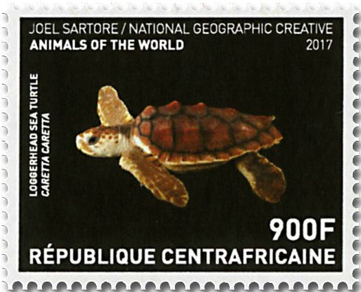 n° 5269/5272 - Timbre CENTRAFRIQUE Poste