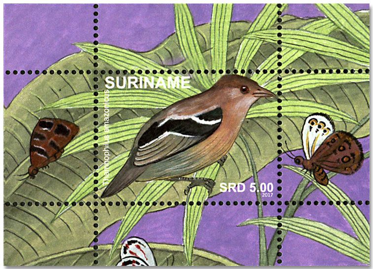 n° 126/137 - Timbre SURINAME Blocs et feuillets