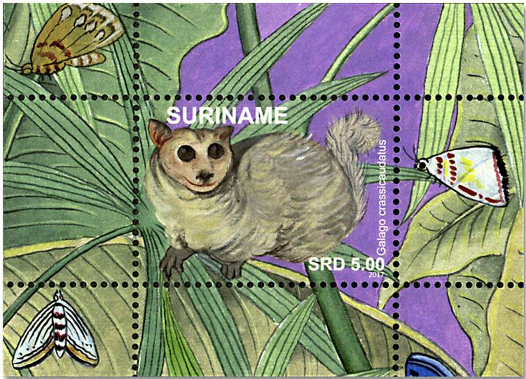 n° 126/137 - Timbre SURINAME Blocs et feuillets