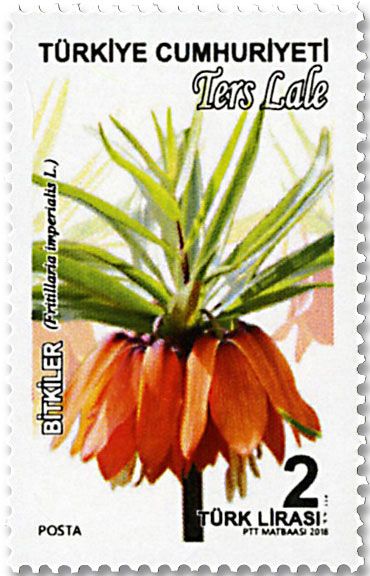 n° 3879/3885 - Timbre TURQUIE Poste