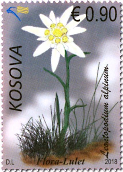 n° 289/293 - Timbre KOSOVO Poste