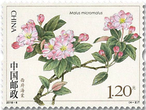 n° 5507/5510 - Timbre Chine Poste