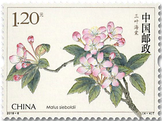 n° 5507/5510 - Timbre Chine Poste