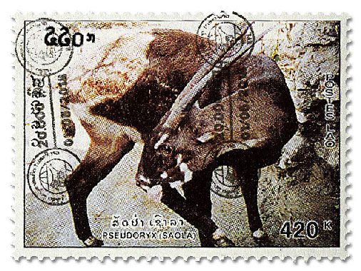 n° 1255A/1256A - Timbre LAOS Poste