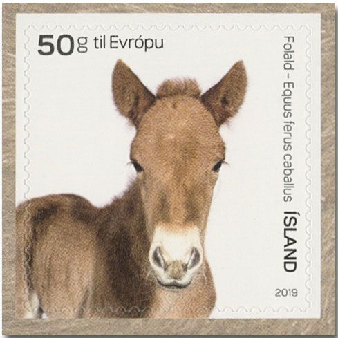 n° 1508/1509 - Timbre ISLANDE Poste