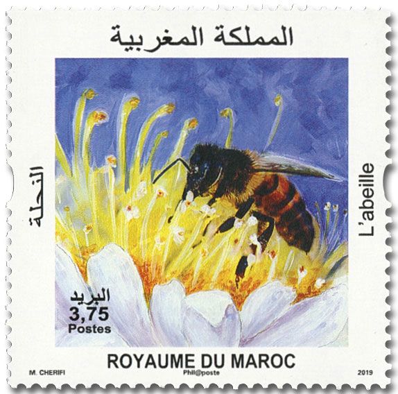 n° 1830/1831 - Timbre MAROC Poste