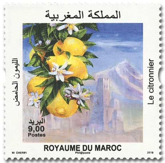 n° 1830/1831 - Timbre MAROC Poste