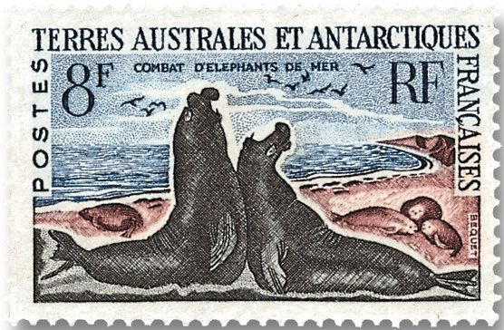 nr. 12/17 -  Stamp French Southern Territories Mail