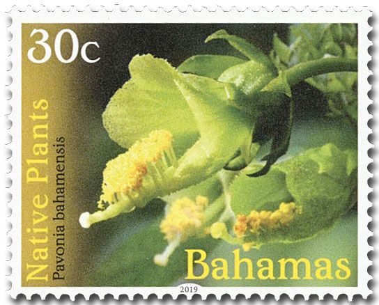 n° 1573/1588 - Timbre BAHAMAS Poste