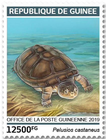 n° 9753/9756 - Timbre GUINÉE Poste