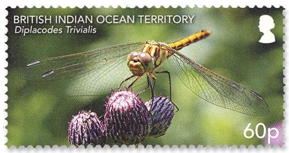 n°557/562 - Timbre OCEAN INDIEN Poste