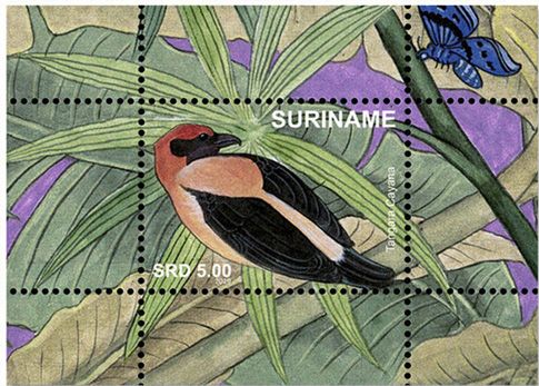 n°152/167 - Timbre SURINAME Blocs et feuillets