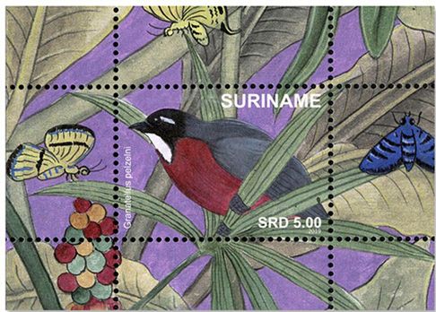 n°152/167 - Timbre SURINAME Blocs et feuillets