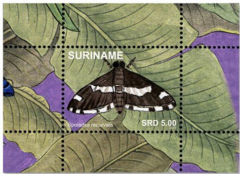 n°152/167 - Timbre SURINAME Blocs et feuillets