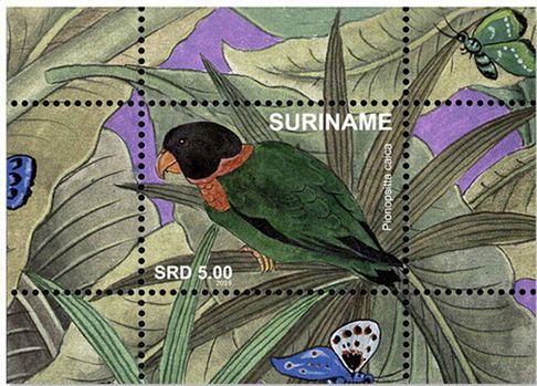 n°152/167 - Timbre SURINAME Blocs et feuillets