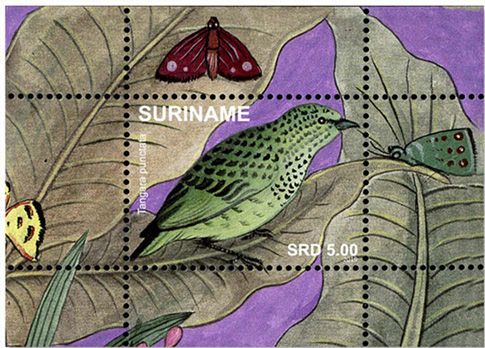 n°152/167 - Timbre SURINAME Blocs et feuillets