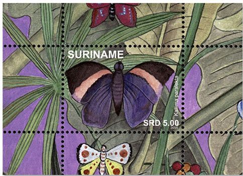 n°152/167 - Timbre SURINAME Blocs et feuillets