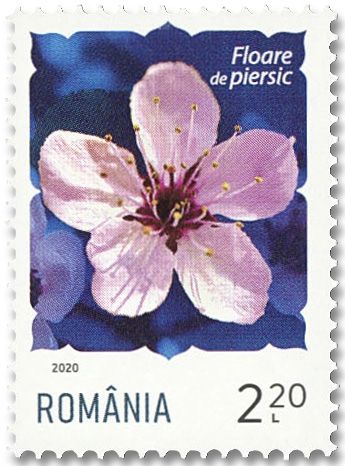 n° 6518/6523 - Timbre ROUMANIE Poste