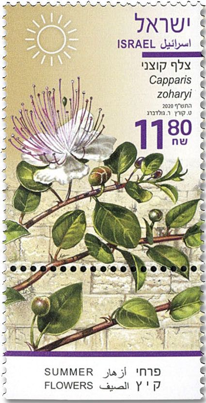 n° 2637/2639 - Timbre ISRAEL Poste