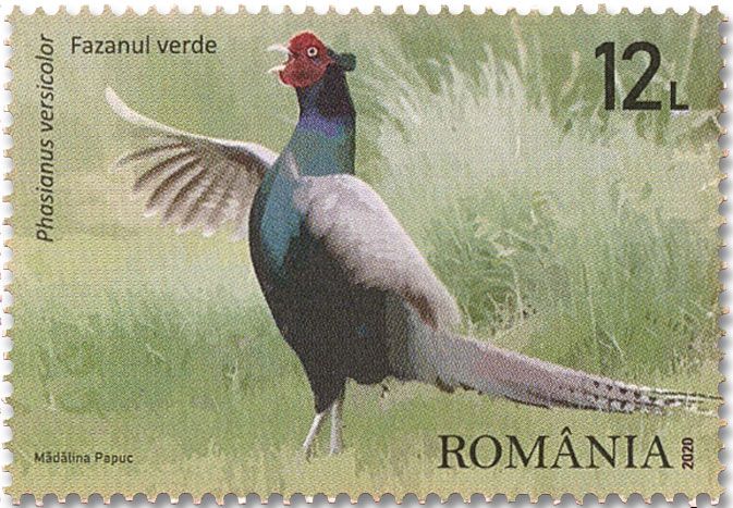 n° 6569/6572 - Timbre ROUMANIE Poste