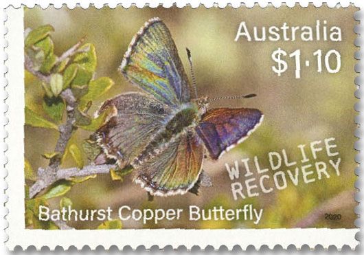 n° 4965/4970 - Timbre AUSTRALIE Poste