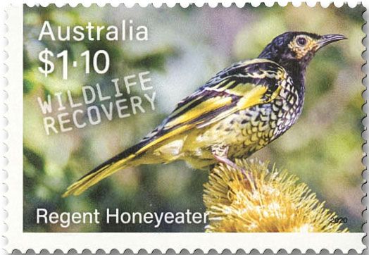 n° 4965/4970 - Timbre AUSTRALIE Poste