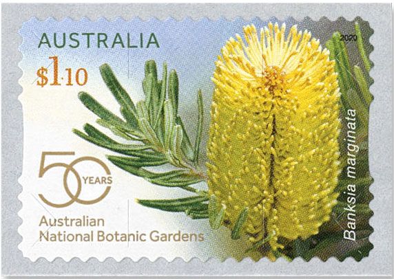 n° 5003a/5004a - Timbre AUSTRALIE Poste