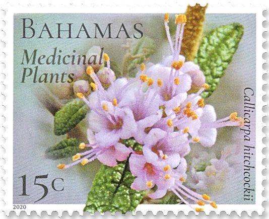 n° 1597/1602 - Timbre BAHAMAS Poste